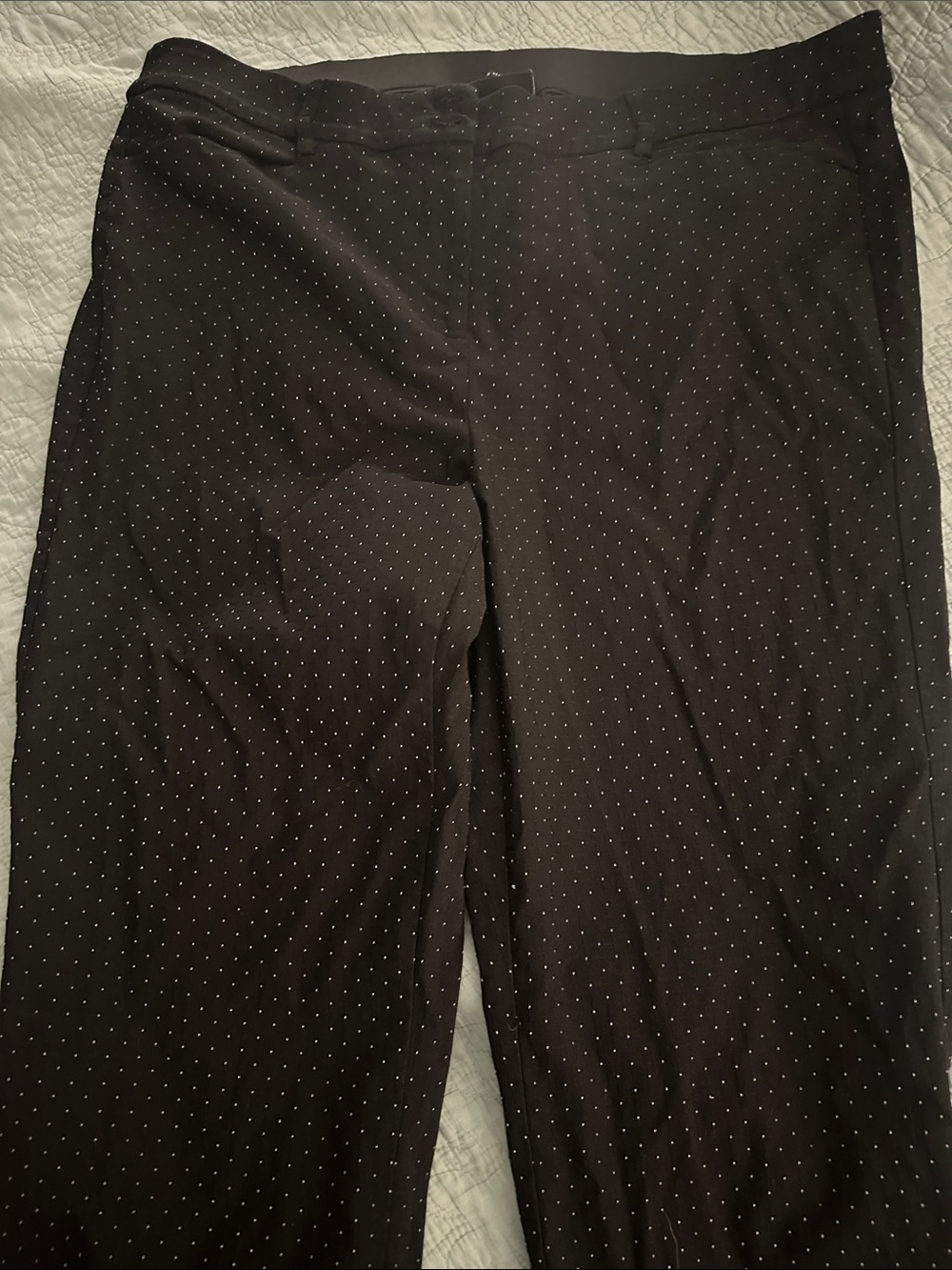Lane Bryant Black Dress Pants with White Microdots